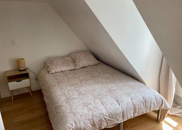 2 Entierement Renove Avec Parking Au Calme En Etant A Deux Pas Des Commerces Et Restaurants Appartement Orthez